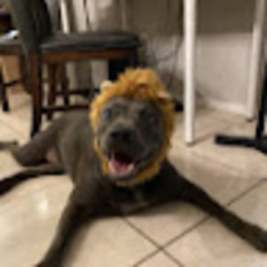 Meet your Posher, Jordan